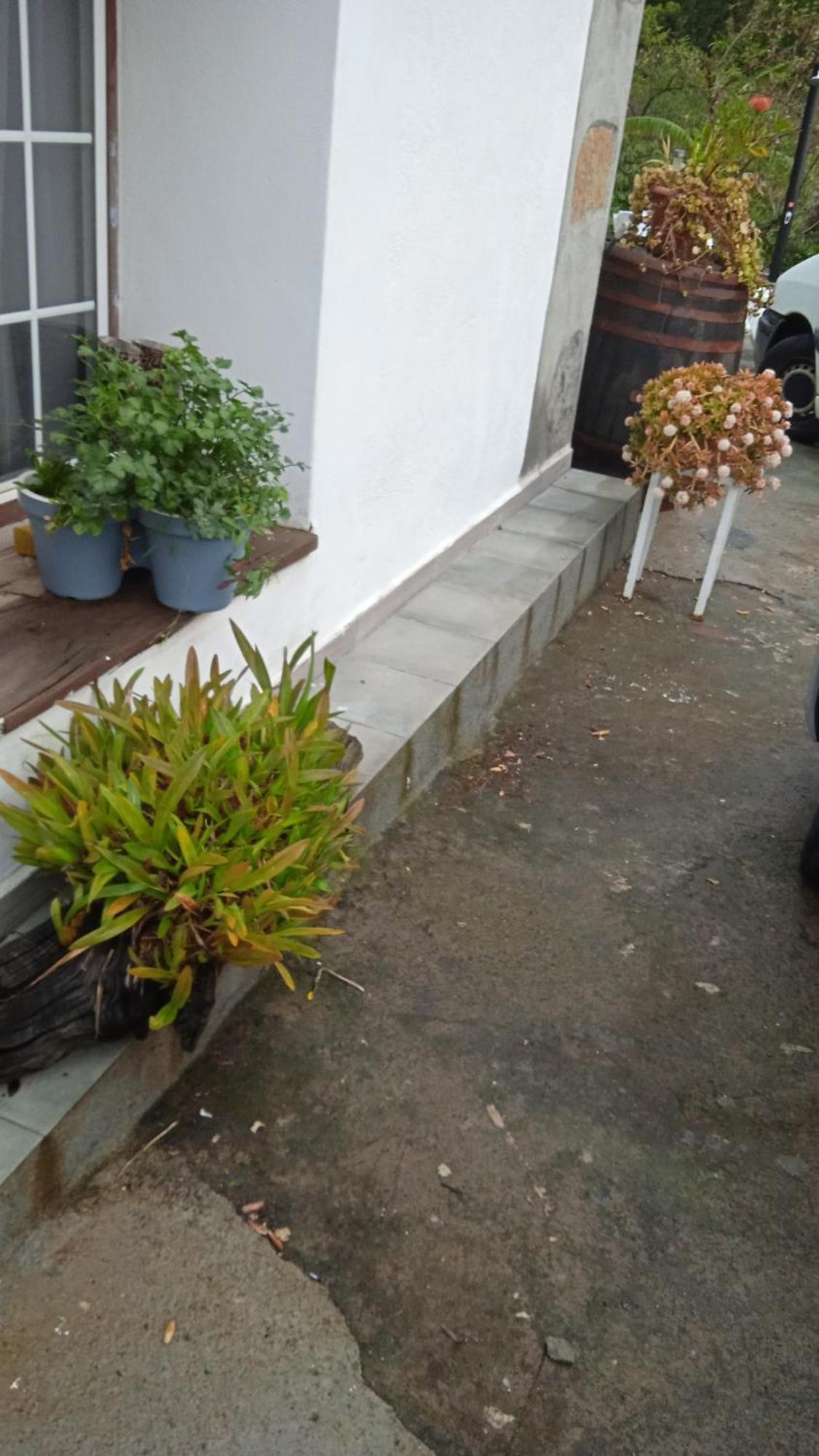 Casa Nieves De Mario Villa Santa Cruz de la Palma  Exterior foto